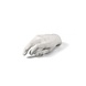 Seletti Memorabilia Mvsevm male hand decoratie object - 10073 Seletti Memorabilia Mvsevm male hand decoratie object - 10073