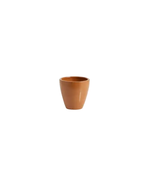 Nordal Vasos de enebro marrón set de 6 piezas - 9198