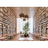 Graypants Sun32 hengende lampe naturlig - GP-201