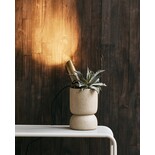 Nordal Banco exterior Brenta marfil - 6964 Nordal Banco exterior Brenta marfil - 6964