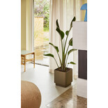 Hubsch Jardineras cúbicas marrón juego de 2 piezas - 991915 Hubsch Jardineras cúbicas marrón juego de 2 piezas - 991915