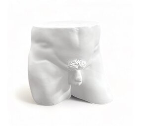 Seletti Piece of me Him stool/decorative object Seletti Piece of me Him stool/decorative object