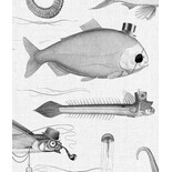 KEK Amsterdam Dandy Fish tapet - WP-803 KEK Amsterdam Dandy Fish tapet - WP-803