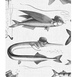 KEK Amsterdam Papel pintado Dandy Fish - WP-803 KEK Amsterdam Papel pintado Dandy Fish - WP-803