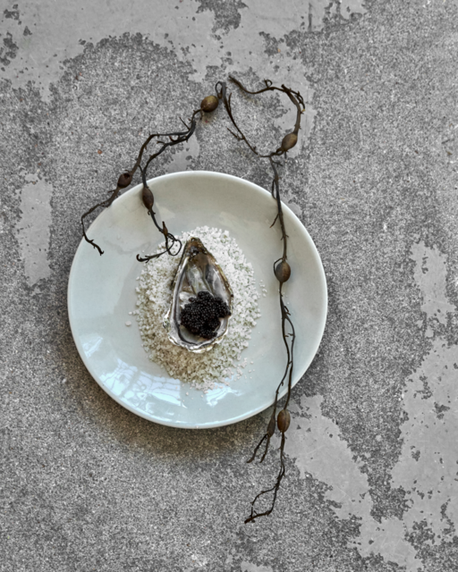 House Doctor Diva lunchborden set van 8 stuks - 267600032 House Doctor Diva lunchborden set van 8 stuks - 267600032