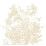 KEK Amsterdam Gravert Blomster tapet FU-040 - 292,2x280cm beige