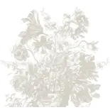 KEK Amsterdam Papel pintado Flores Grabadas FU-050 - 389,6x280cm gris KEK Amsterdam Papel pintado Flores Grabadas FU-050 - 389,6x280cm gris