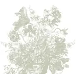 KEK Amsterdam Papel pintado Flores Grabadas FU-046 - 292,2x280cm verde KEK Amsterdam Papel pintado Flores Grabadas FU-046 - 292,2x280cm verde