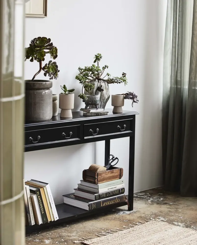 Nordal Moss console table with drawers - black