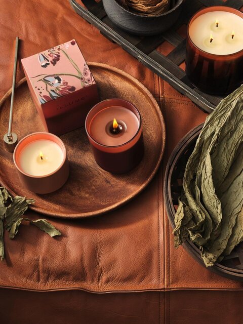 Illume Terra tobacco Statement candle brown - 4626100100