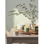 Illume Hinoki sage statement kaars groen - 4626100300