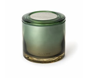 Illume Hinoki sage statement kaars groen Illume Hinoki sage statement kaars groen