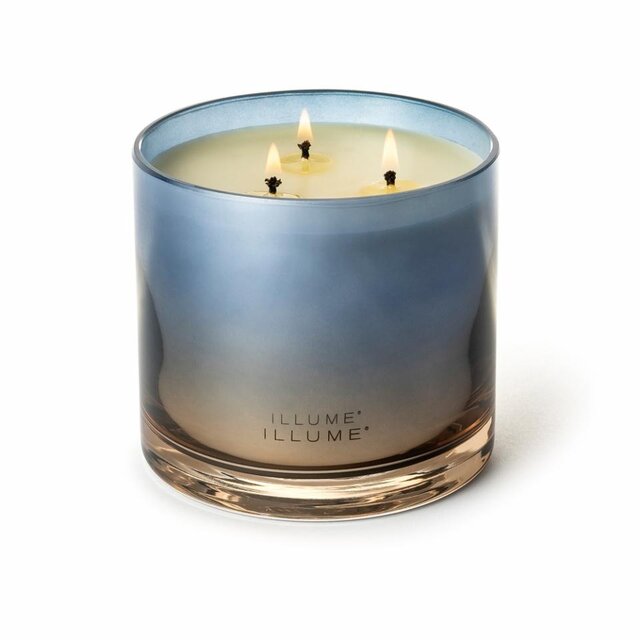 Illume Candela Citrus Crush blu - 4626134300
