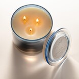Illume Citrus crush statement candle blue - 4626134300
