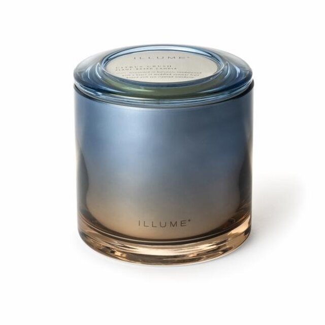 Illume Candela Citrus Crush blu - 4626134300