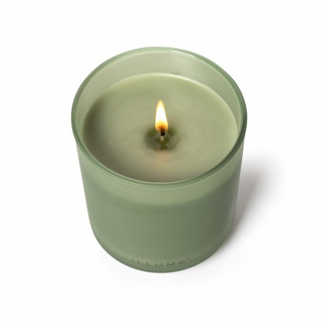 Illume Hinoki sage box kaars groen - 4537500300