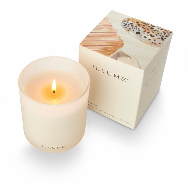 Illume Driftwood box kaars wit - 4537500500