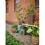 Bloomingville Cestina kurve brunt sæt med 2 stk.