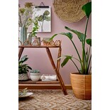 Bloomingville Begonia kan vara grön