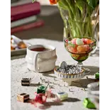 Nordal Crocus glass green set of 6 pieces