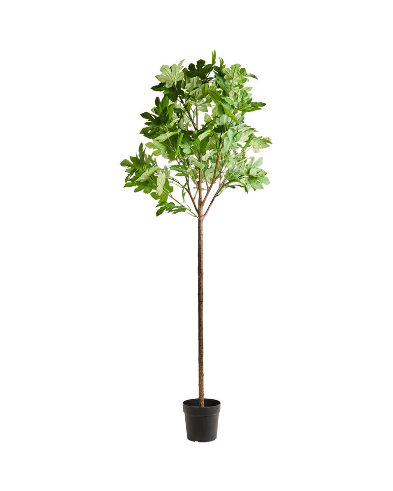 House Doctor Planta artificial House Doctor Fig House Doctor Planta artificial House Doctor Fig