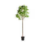 House Doctor House Doctor Fig artificial plant House Doctor House Doctor Fig artificial plant