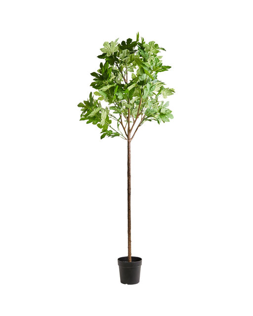 House Doctor House Doctor Fig kunstig plante House Doctor House Doctor Fig kunstig plante