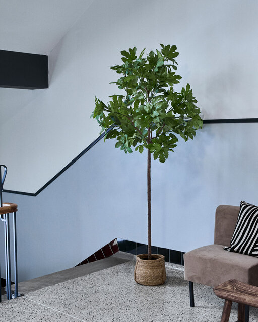 House Doctor House Doctor Fig artificial plant House Doctor House Doctor Fig artificial plant