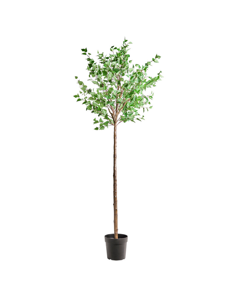 House Doctor Planta artificial de carpe House Doctor Planta artificial de carpe