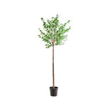 House Doctor plante artificielle de charme House Doctor plante artificielle de charme