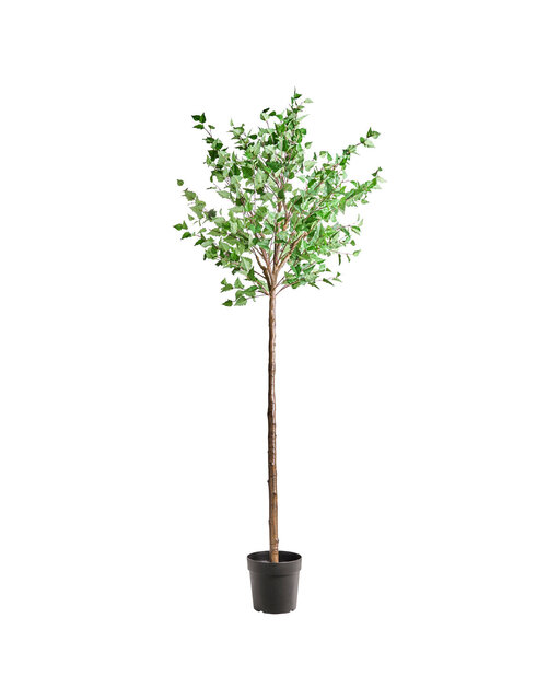 House Doctor Planta artificial de carpe House Doctor Planta artificial de carpe