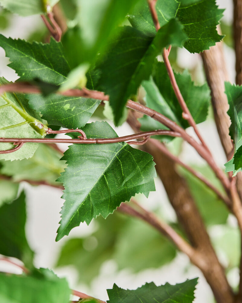 House Doctor Kunstig plante av hornbøk House Doctor Kunstig plante av hornbøk