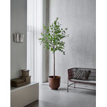 House Doctor Hornbeam artificial plant House Doctor Hornbeam artificial plant