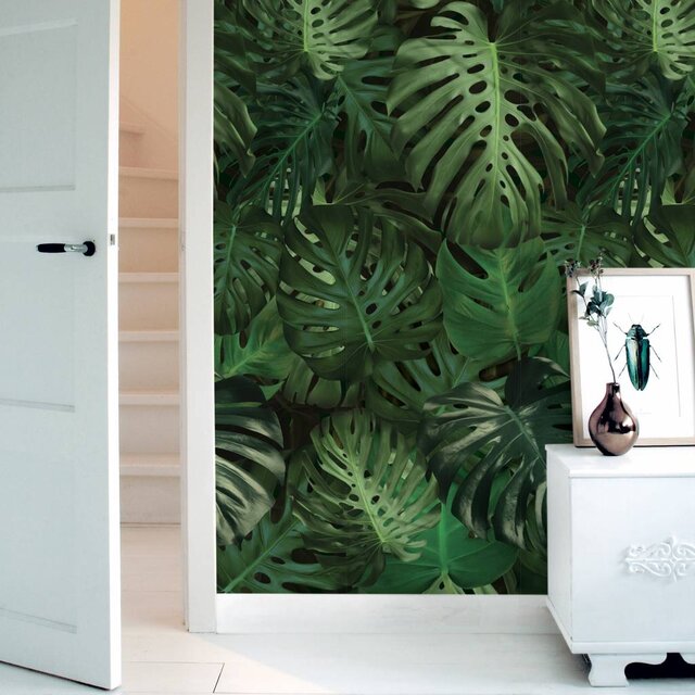 KEK Amsterdam Tropisch vliesbehang Monstera