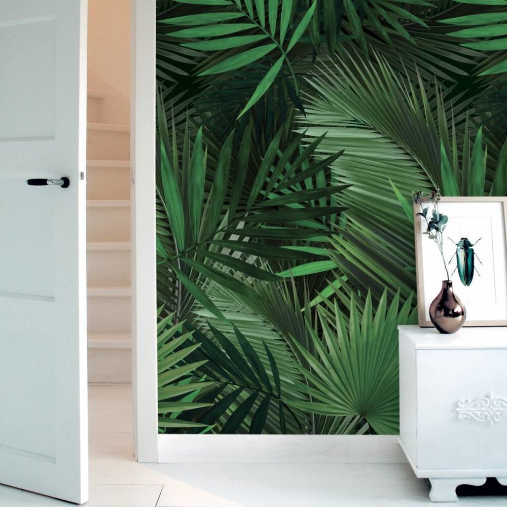 KEK Amsterdam Tropisch vliesbehang Palm KEK Amsterdam Tropisch vliesbehang Palm