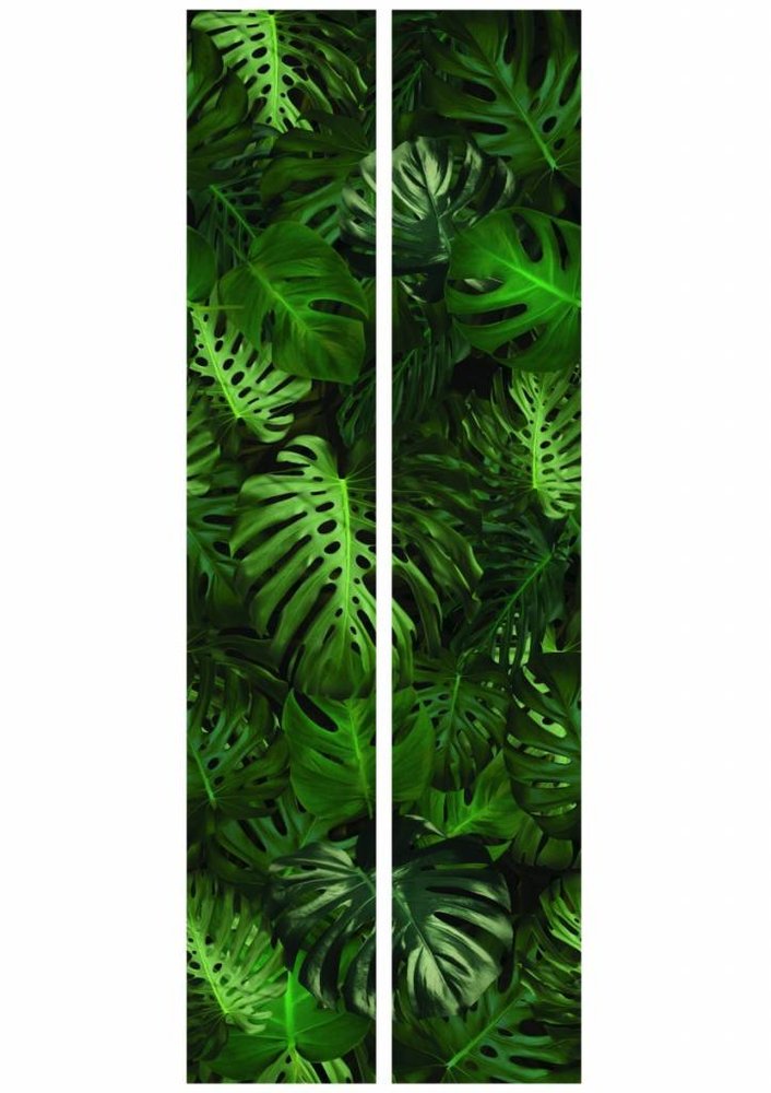 KEK Amsterdam Botanic wallpaper Monstera