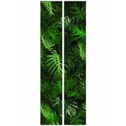KEK Amsterdam Botanic wallpaper Monstera