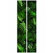 KEK Amsterdam Tropisch vliesbehang Monstera KEK Amsterdam Tropisch vliesbehang Monstera