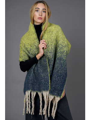 Texo Dames wintersjaal - multi