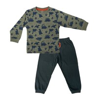 Jongens pyjama katoen dino's - groen