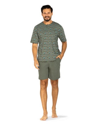 Comte Heren shortama katoen - palm stripes green
