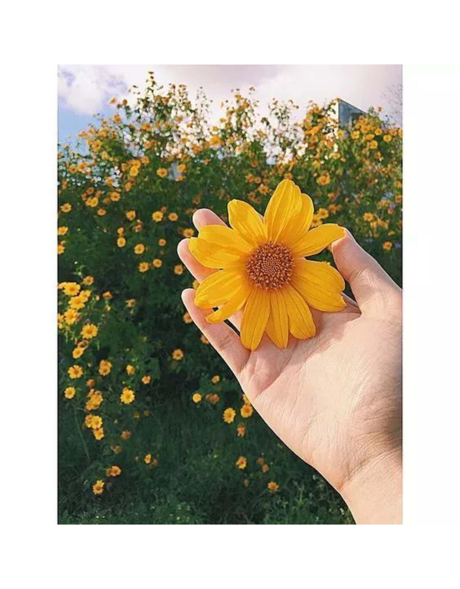 Blue Tones Turtle Mat