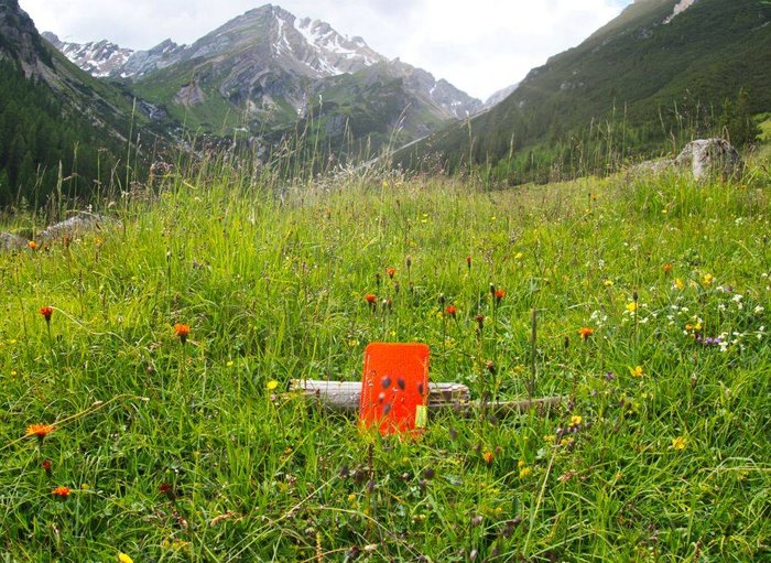 Frühling liegt in der Luft