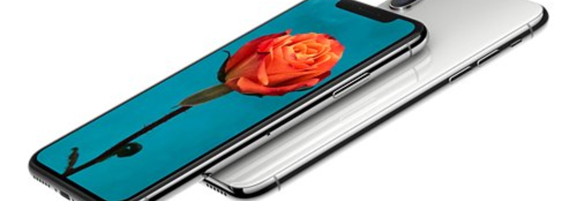 Apple iPhone XS/X Sleeves