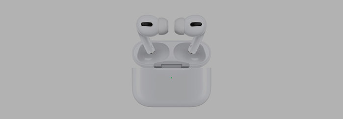 Apple AirPods Pro Sleeves & Hüllen