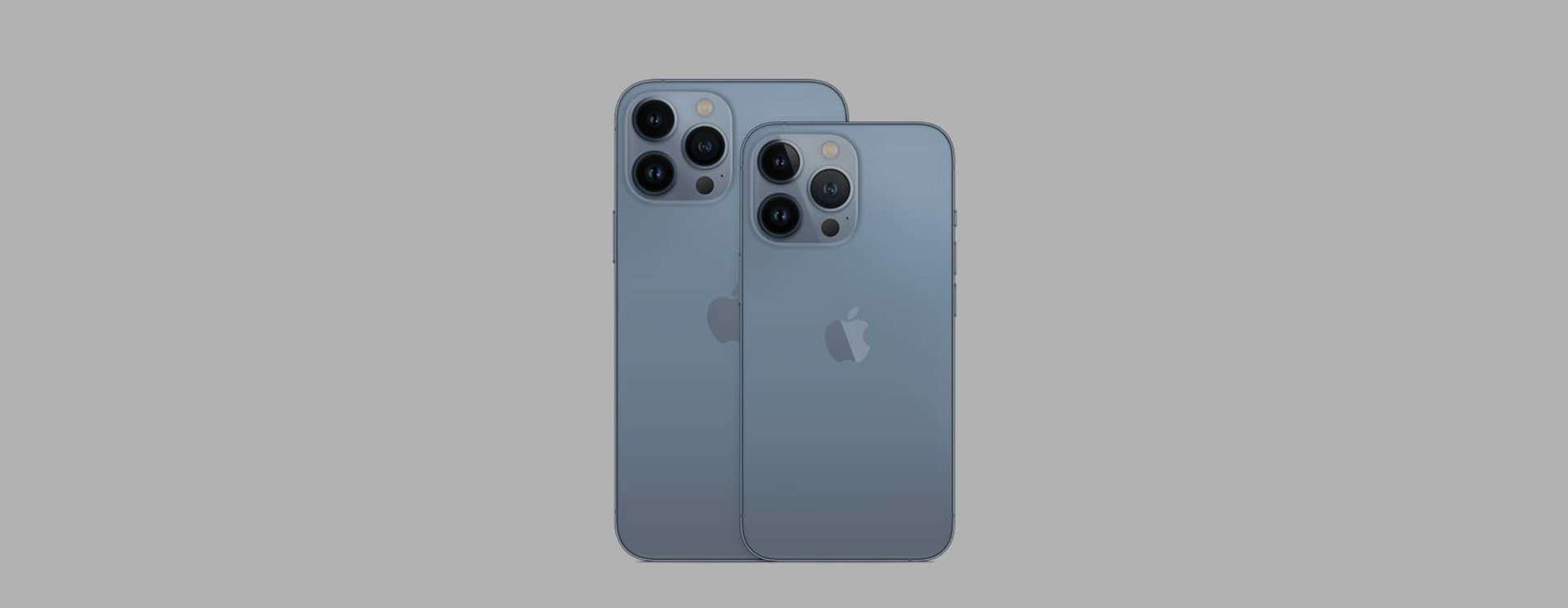 Apple iPhone 13 Pro Max Sleeves & Cases