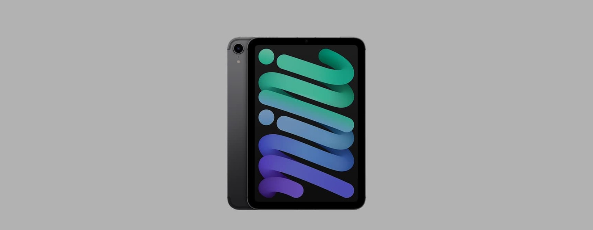 Apple iPad mini 6 (2021) Sleeves & Cases