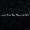 Apple Home Hub: Was Apple plant