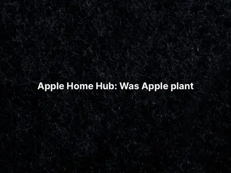 Apple Home Hub: Was Apple plant