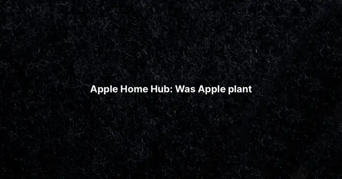 Apple Home Hub: Was Apple plant